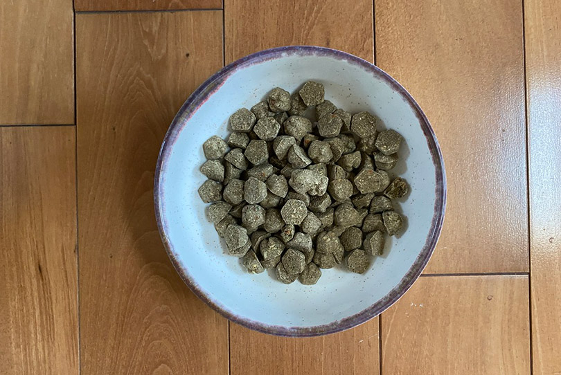 Petaluma’s Roasted Peanut Butter &amp; Sweet Potato Flavor dog food in a bowl