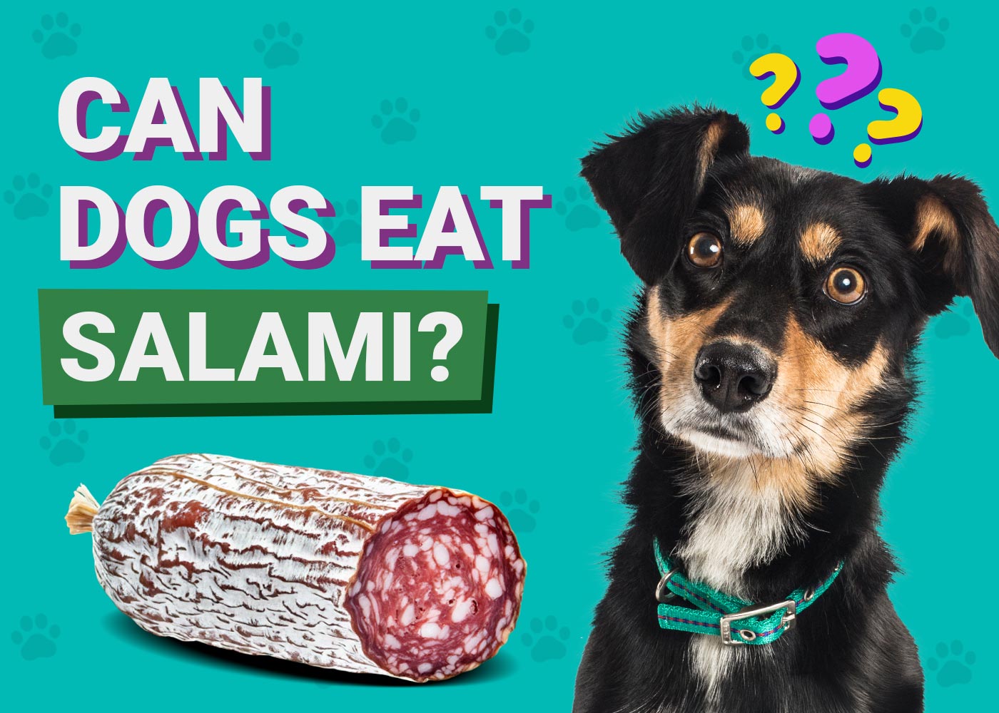 Can Dogs Eat Salami? Vet-Reviewed Facts & FAQ