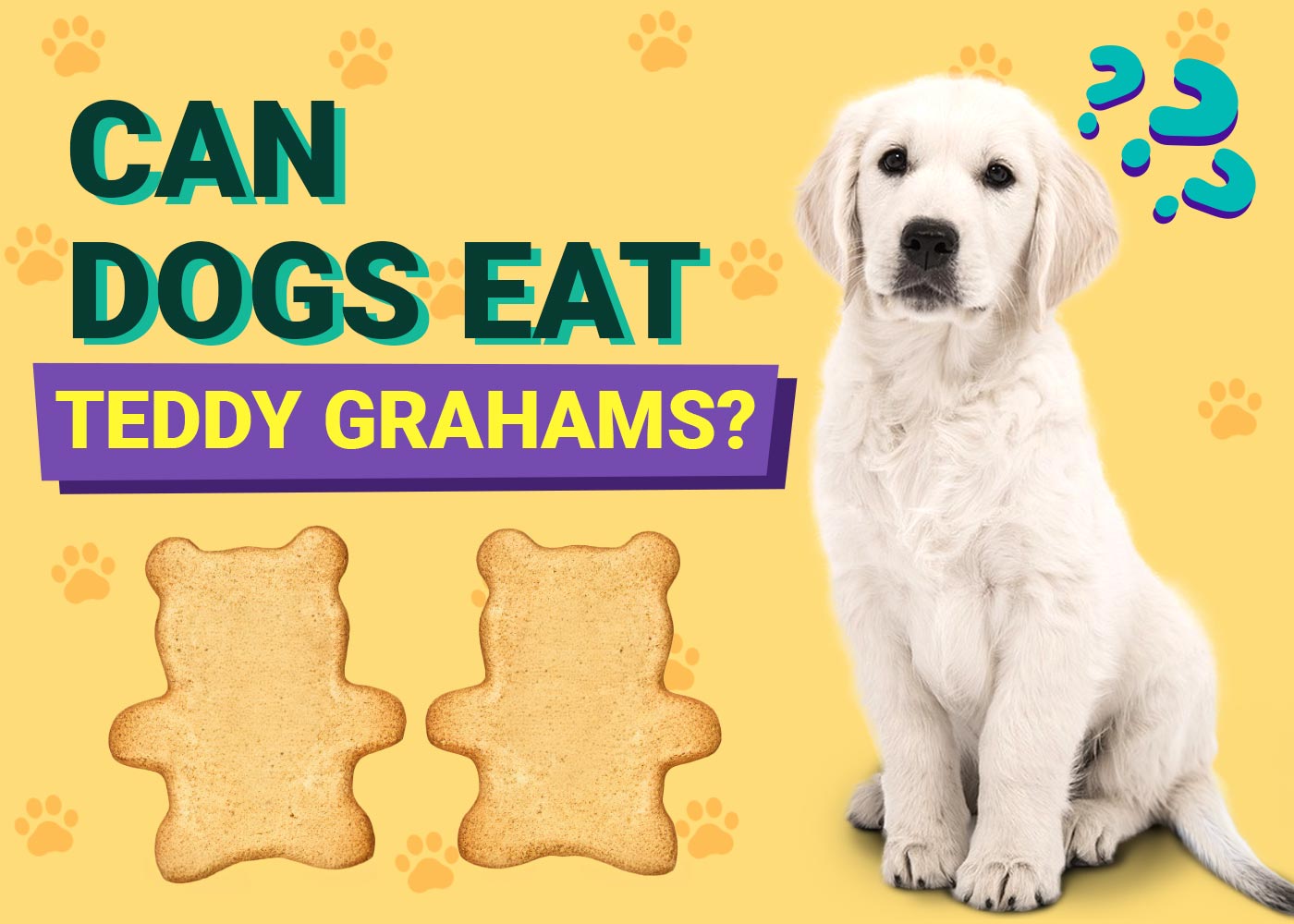 Can Dogs Eat Teddy Grahams? Vet-Approved Facts & FAQ