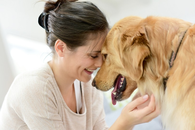 Top 20 Friendliest Dog Breeds (With Info & Pictures)