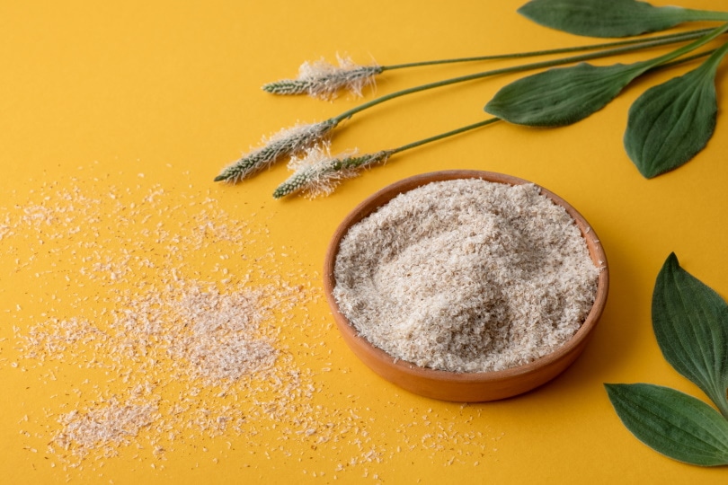 What Is Powdered Cellulose in Dog Food? Vet-Approved Safety Facts & FAQ