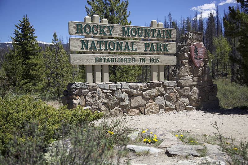 Are Dogs Allowed in Rocky Mountain National Park? (Updated in 2026)