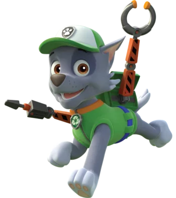 What Breed of Dog Is Rocky From Paw Patrol? Famous TV Character Facts