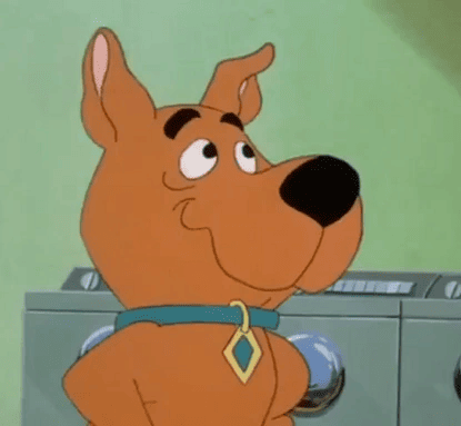 What Breed of Dog Is Scrappy-Doo? Famous TV Canines Presented