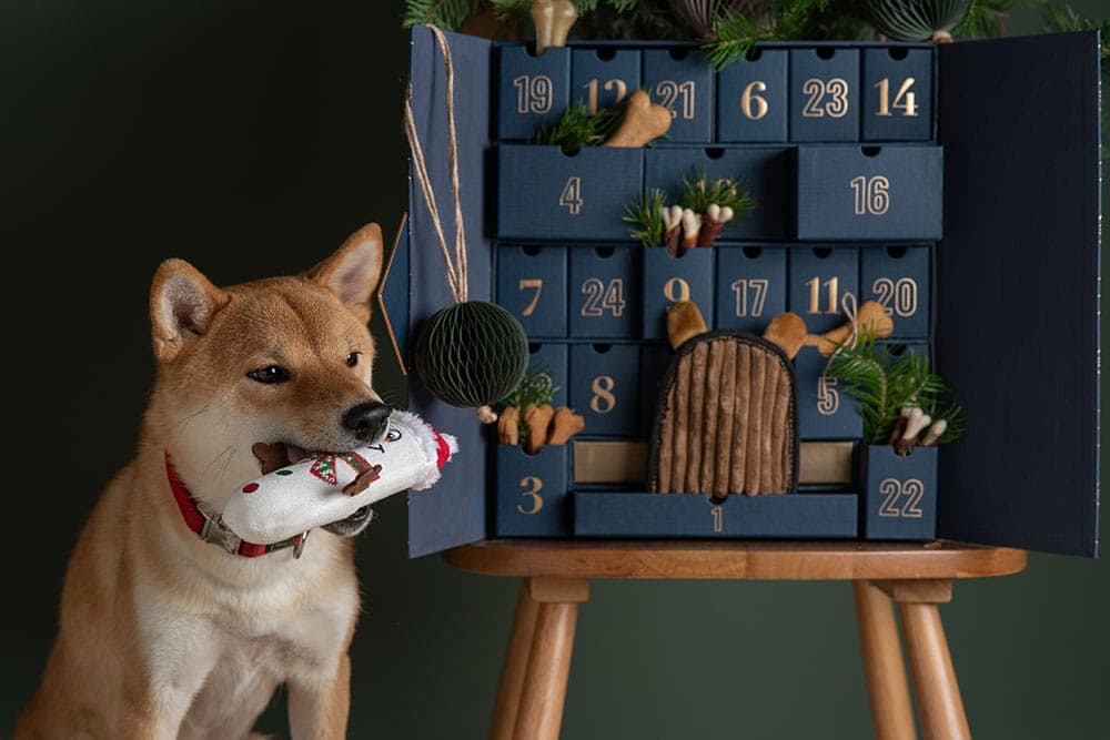 10 Best Eco-Friendly Dog Toys in 2026 - Reviews & Top Picks