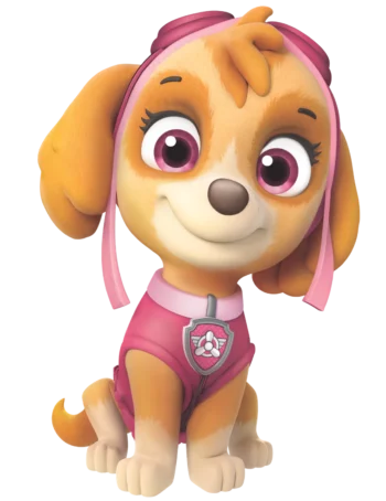 What Breed of Dog is Skye from Paw Patrol? Famous TV Dog Character Facts