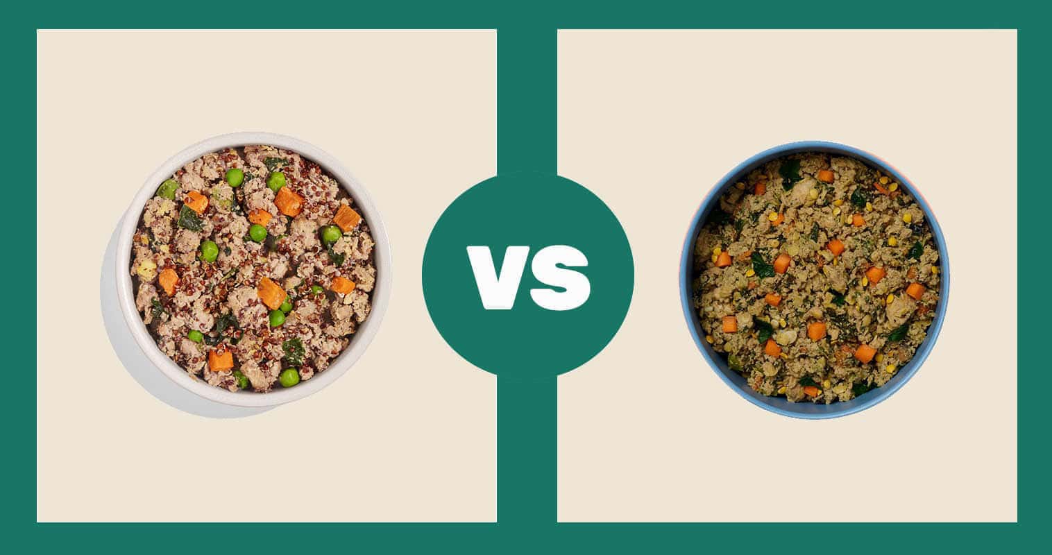 Spot-Tango-Turkey-Red-Quinoa-Fresh-Recipe-vs-Ollie-Fresh-Turkey