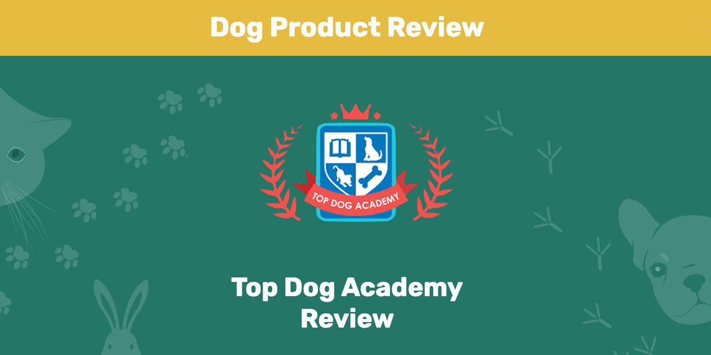 Top Dog Academy Review 2026: Our Expert’s Opinion