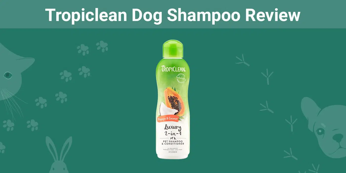 Tropiclean Dog Shampoo Review 2026