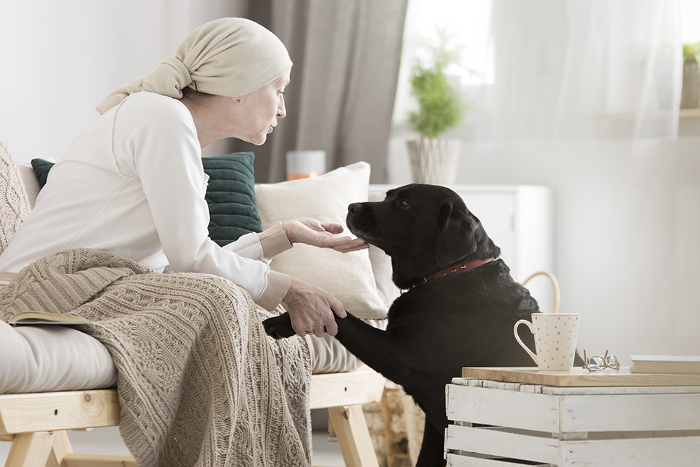 Hospice Therapy Dogs: Vet-Reviewed Benefits for Patients