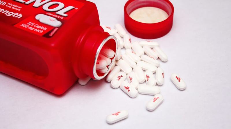 Can You Give a Dog Tylenol? Vet-Approved Facts & Risks