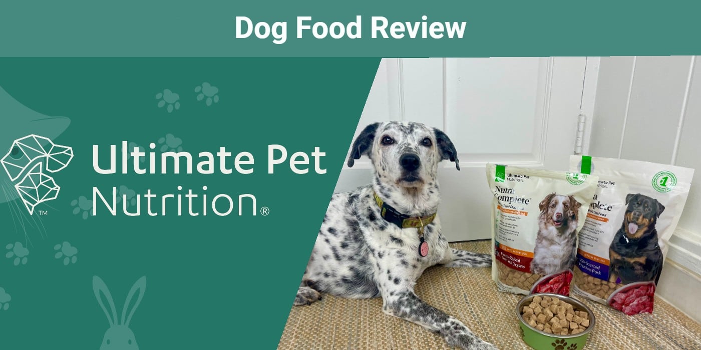 Nutra Complete Dog Food Review 2026: An Expert’s Breakdown