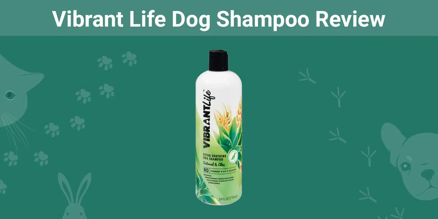 Vibrant Life Dog Shampoo Review 2026: Pros, Cons & Verdict