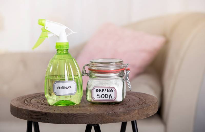 4 DIY Homemade Enzyme Cleaner Recipes for Dog Urine: Easy & Effective