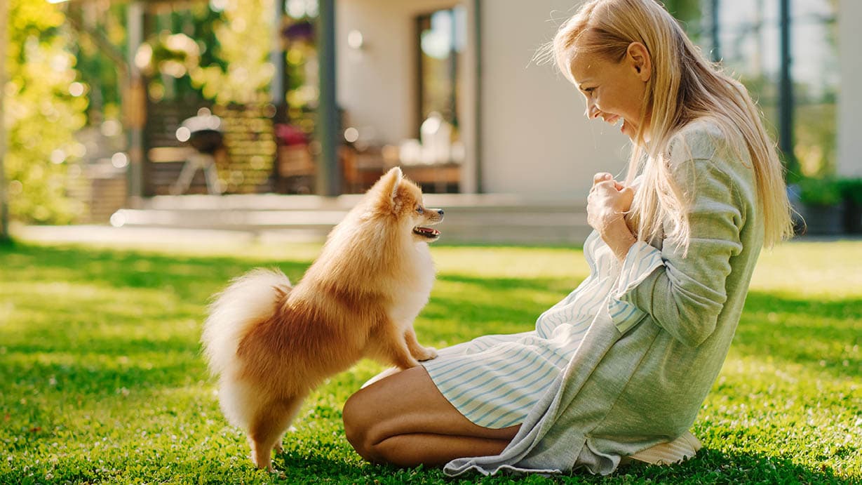 How to Teach a Dog Its Name: Tips, Tricks & Games