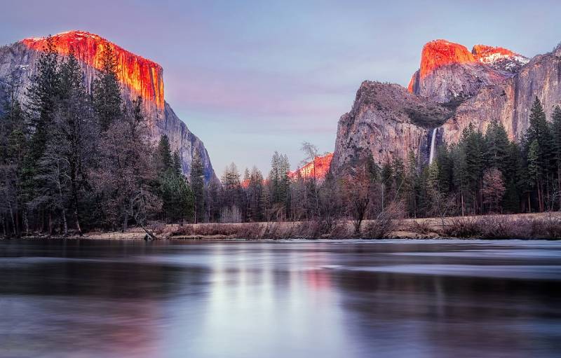 Are Dogs Allowed in Yosemite in 2026? Rules & Safety Tips