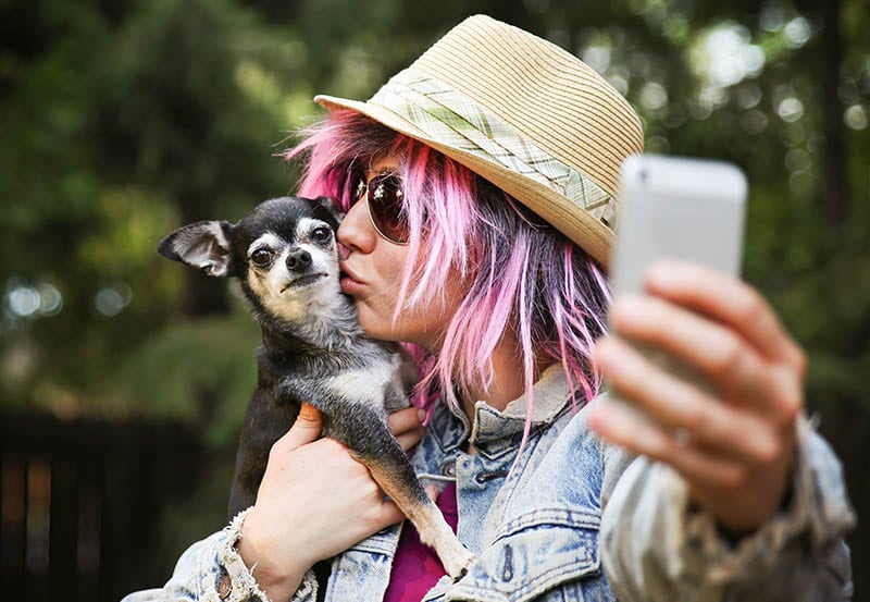 80+ Instagram Captions for Dog Pictures to Please the Paw-Parazzi
