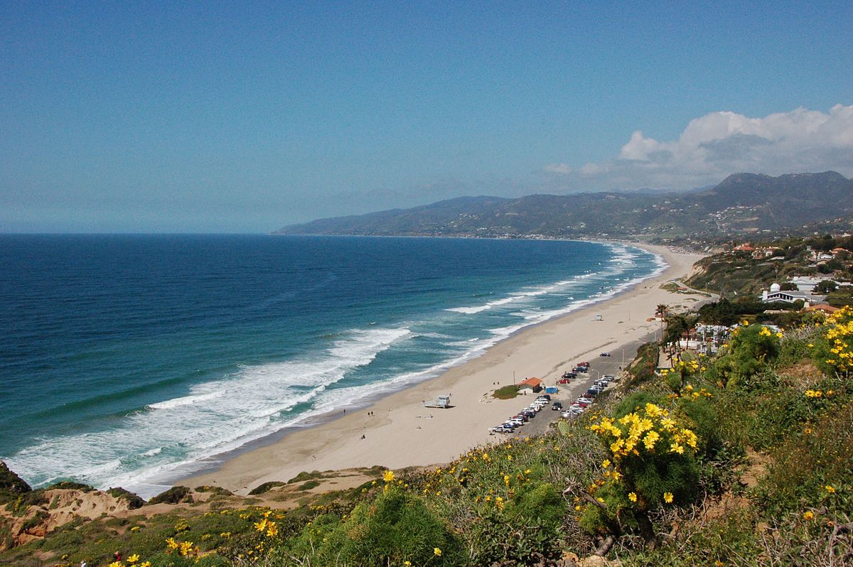 Is Zuma Beach Dog-Friendly? 2026 Guide & Safety Tips