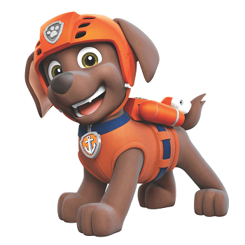 What Breed of Dog Is Zuma From Paw Patrol? Cartoon Dogs Presented