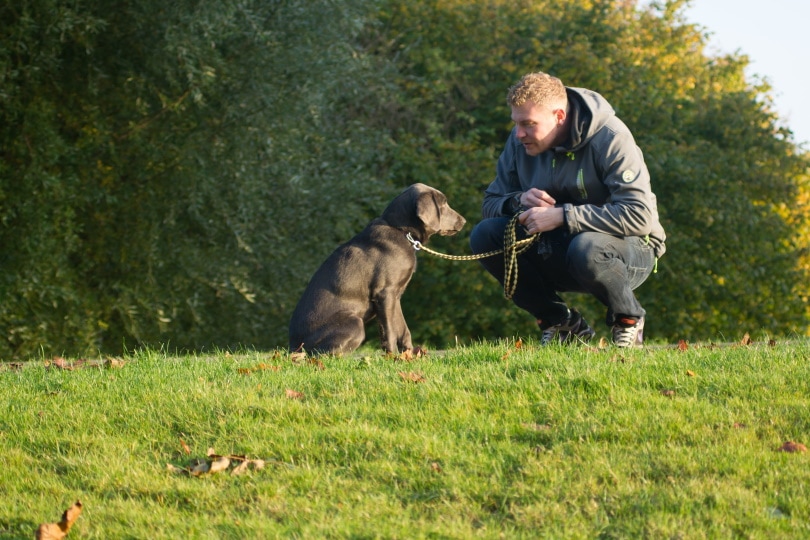10 Health Benefits of Owning a Pet: Vet-Approved Facts