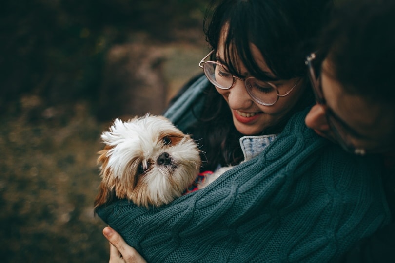 Benefits of Adopting a Pet: 11 Vet-Verified Facts