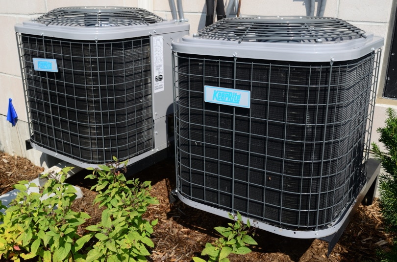 My Dog Peed on My AC Unit — What Should I Do?