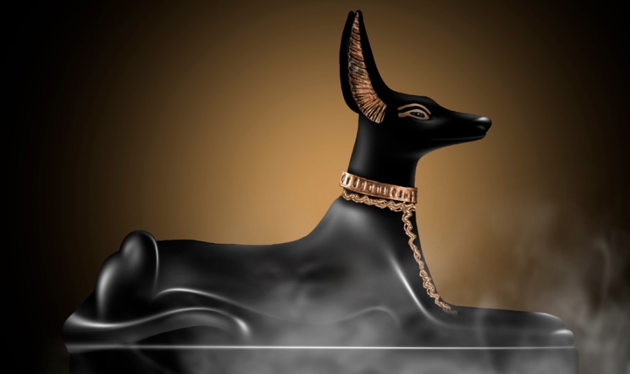 History of Dogs in Ancient Egypt: Facts, Culture & More