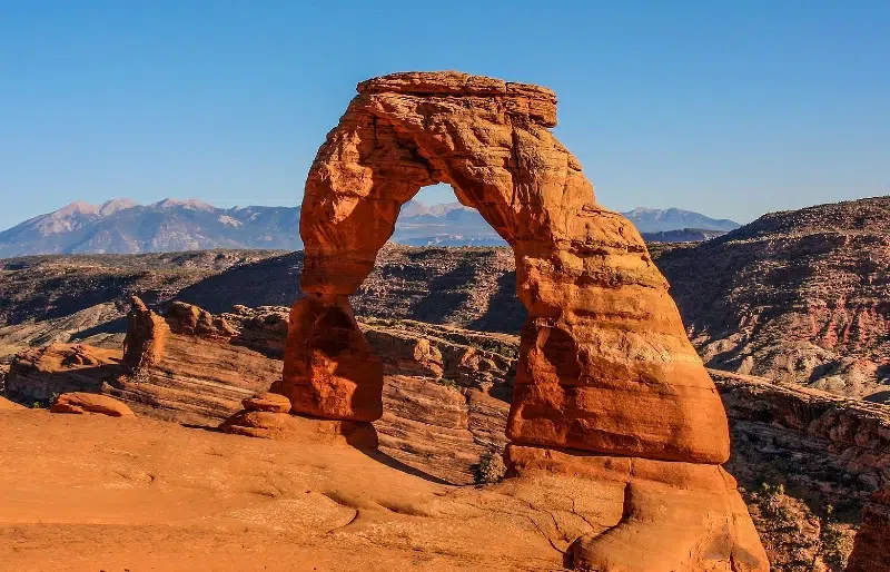Are Dogs Allowed in Arches National Park? 2026 Update