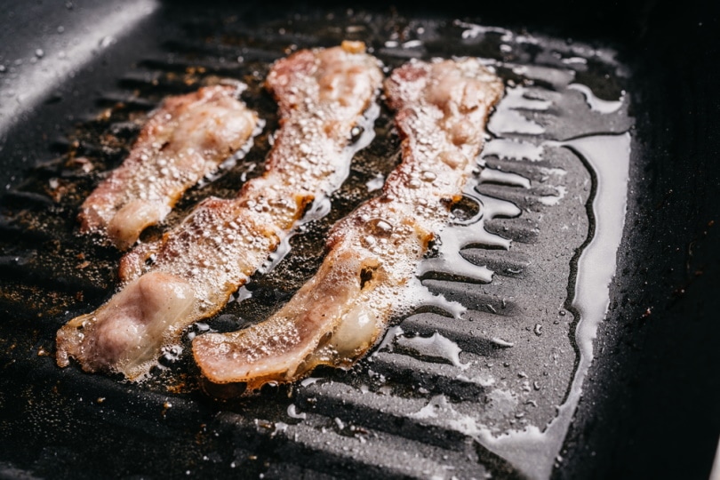 Can You Put Bacon Grease on Dog Food? Vet-Approved Facts & FAQ