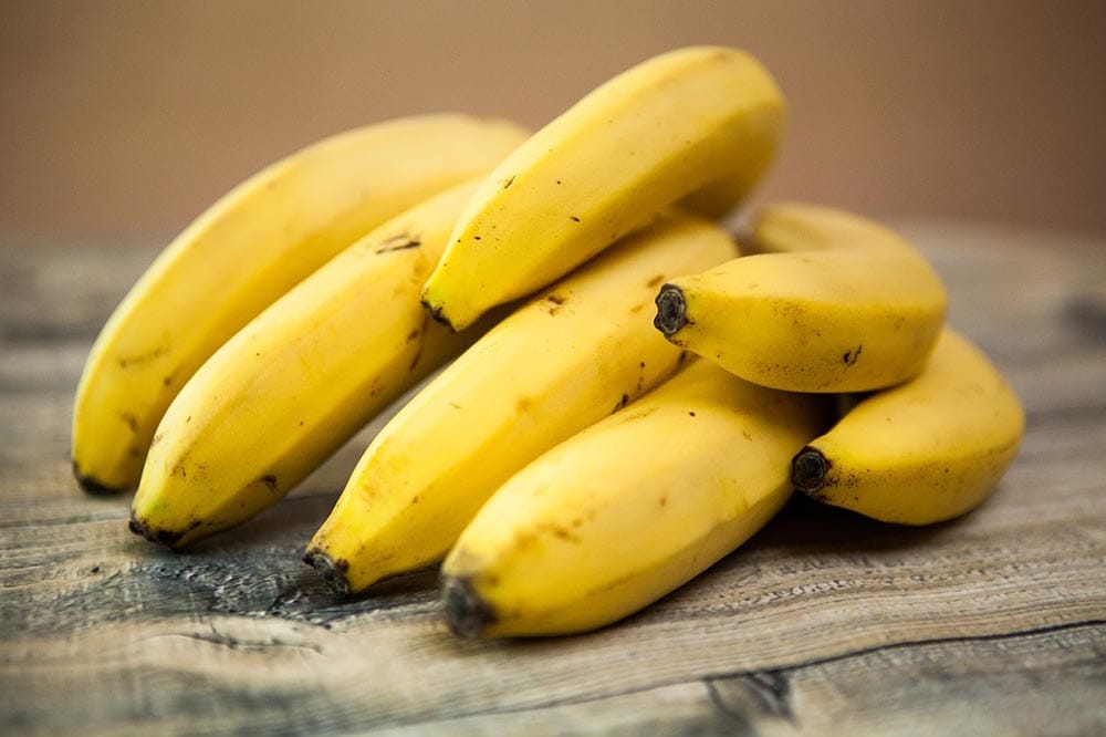 Are Bananas Good for a Dog With Pancreatitis? Vet Approved Facts & FAQ