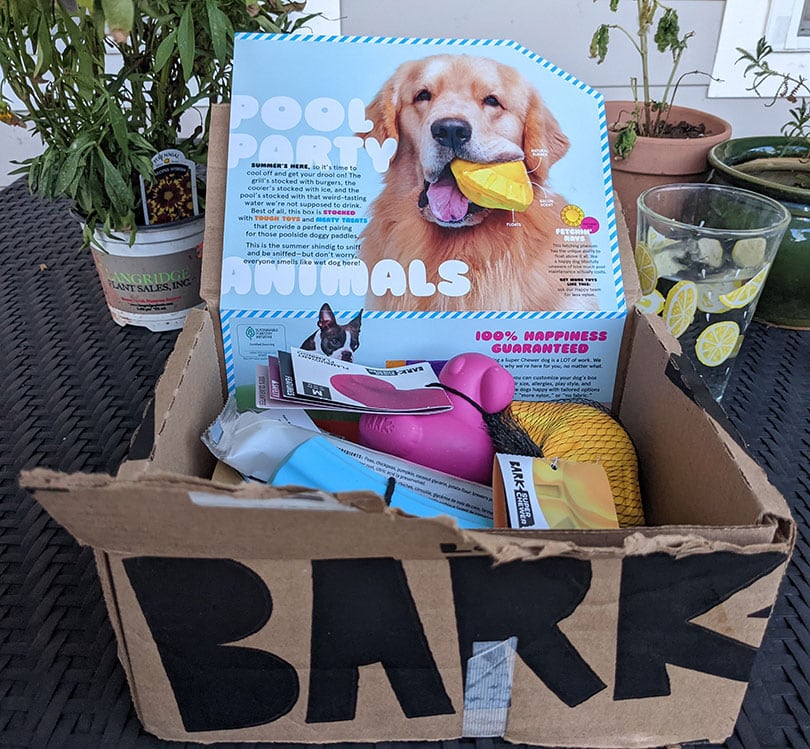 bark super chewer pool party animals contents