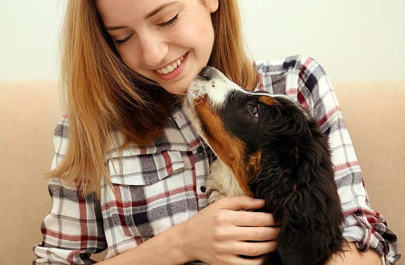 PetWireDaily — Why Mental Stimulation Is Crucial for Dogs: 6 Vet-Approved Reasons