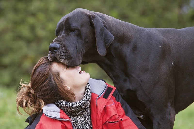 Do Dogs Know You Love Them? Here’s How to Tell