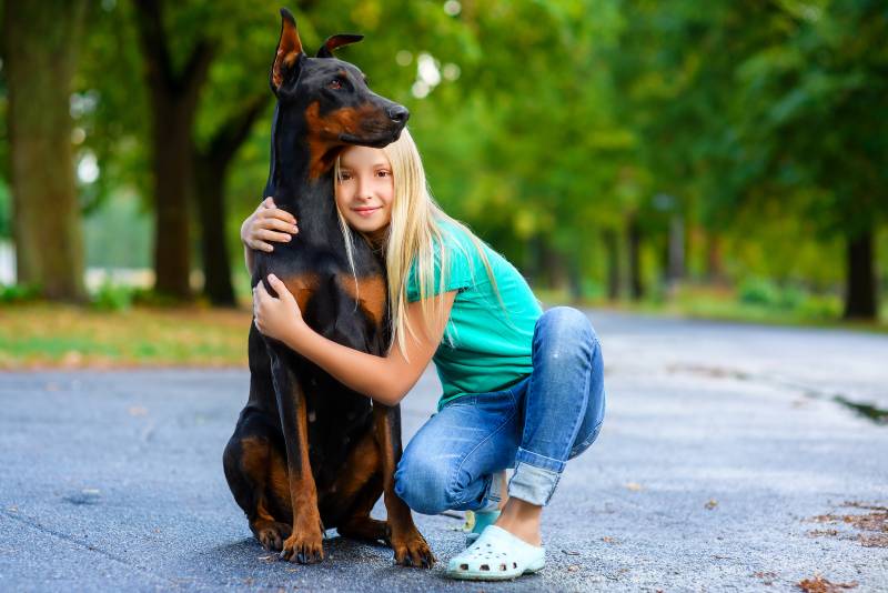 9 Great Off-Leash Dog Parks in Charlotte, NC in 2026 (With Pictures)