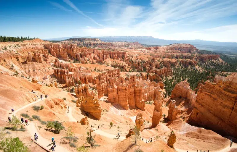 Are Dogs Allowed in Bryce Canyon (2026 Update)
