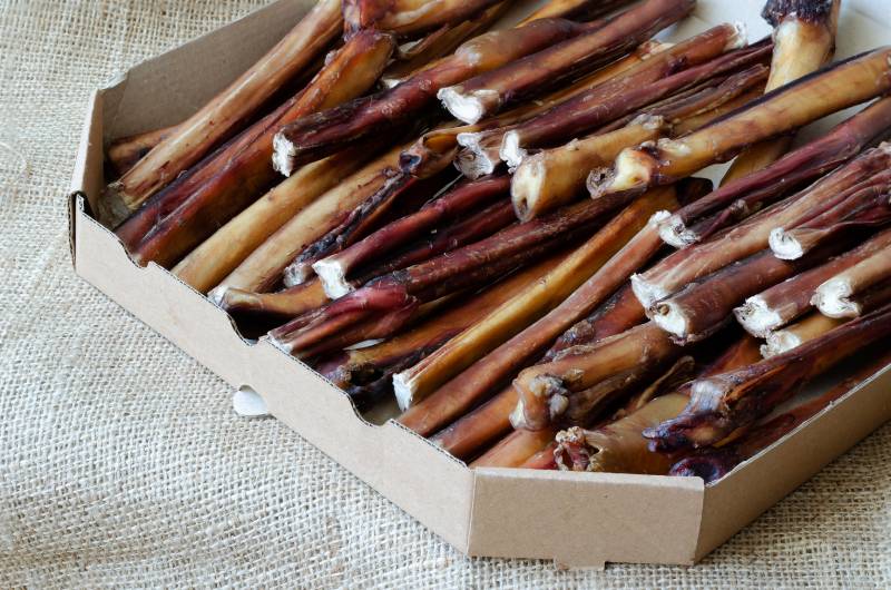 My Dog Swallowed a Bully Stick: Should I Be Worried? Our Vet Explains