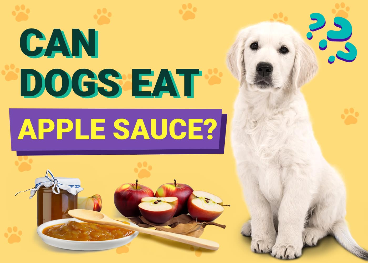 Can Dogs Eat Applesauce? Vet-Verified Nutrition Facts & FAQ