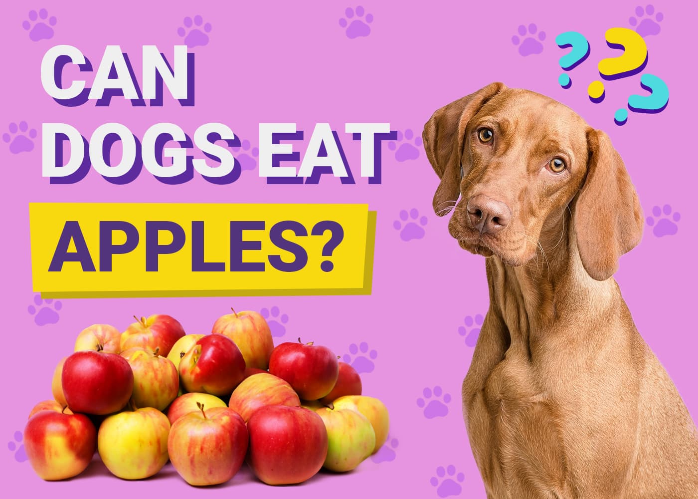 Can Dogs Eat Apples? Vet-Reviewed Nutrition Facts & FAQ