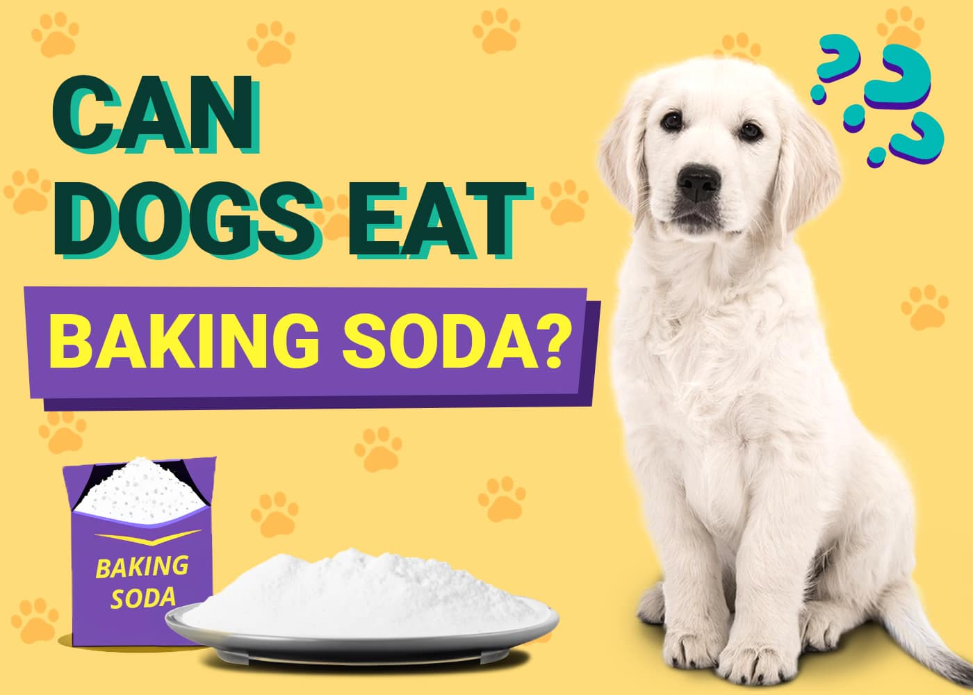 Can Dogs Eat Baking Soda? Vet-Approved Facts & FAQ