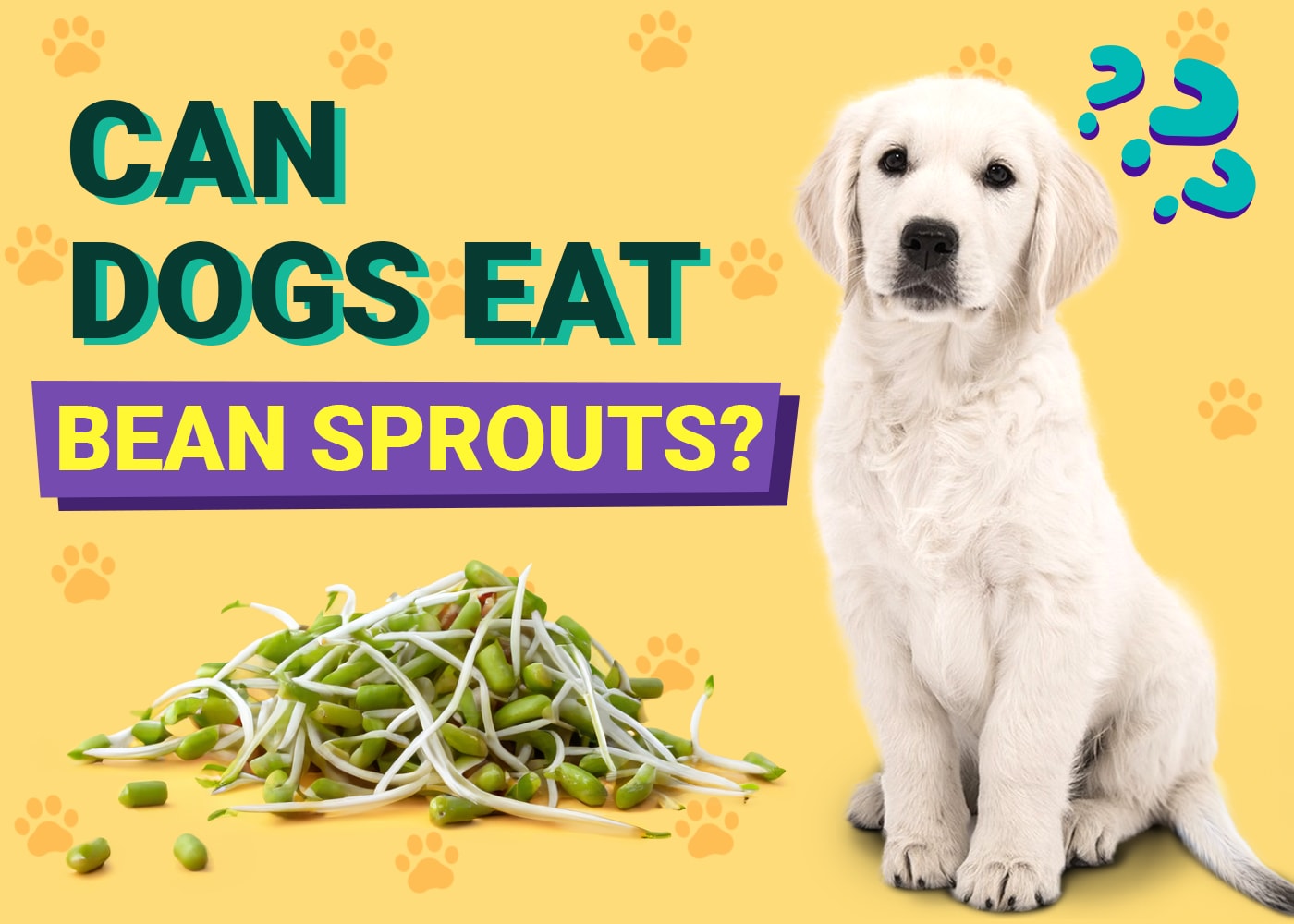 Can Dogs Eat Bean Sprouts? Vet-Verified Benefits & Precautions