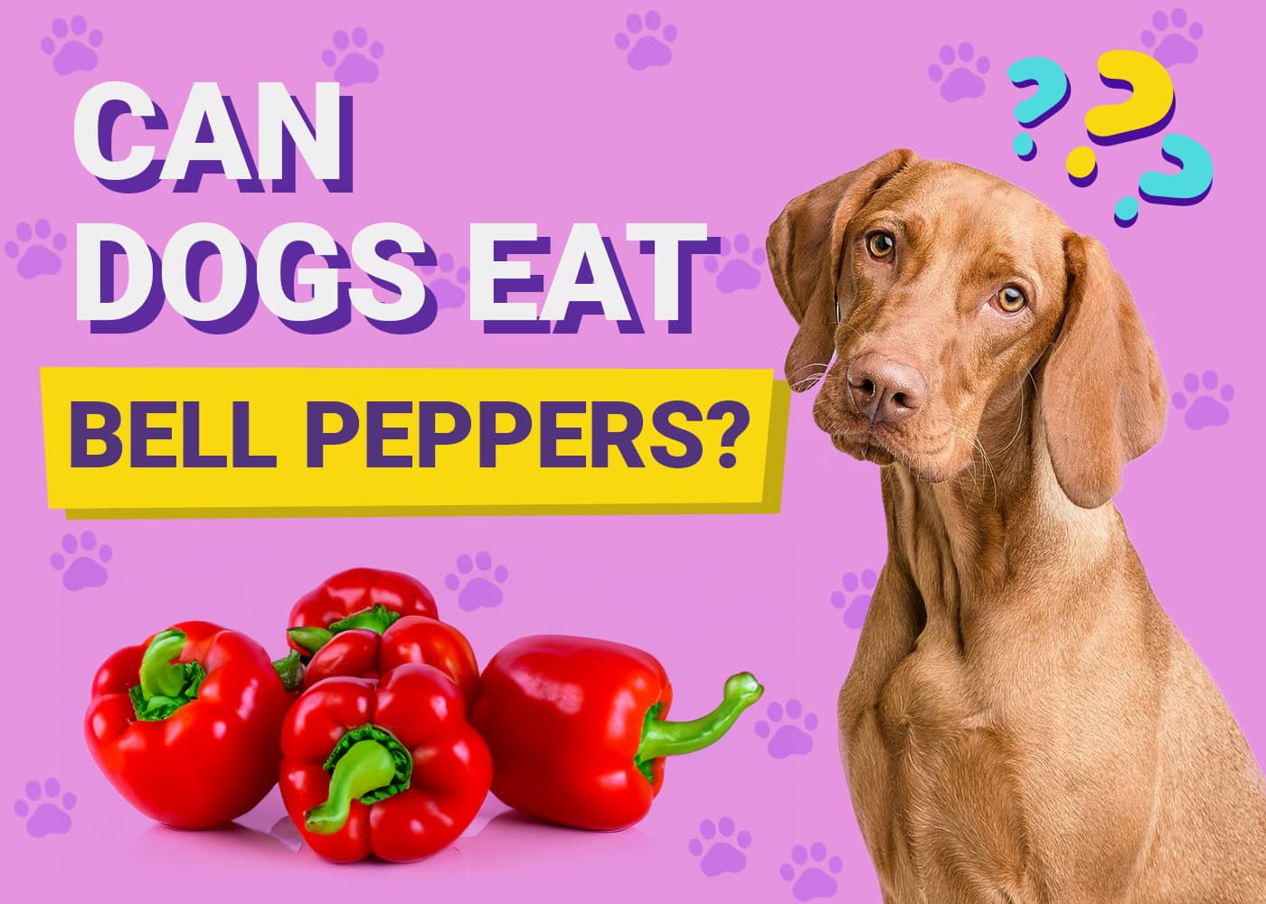 Can Dogs Eat Bell Peppers? Vet-Verified Nutrition Facts & FAQ