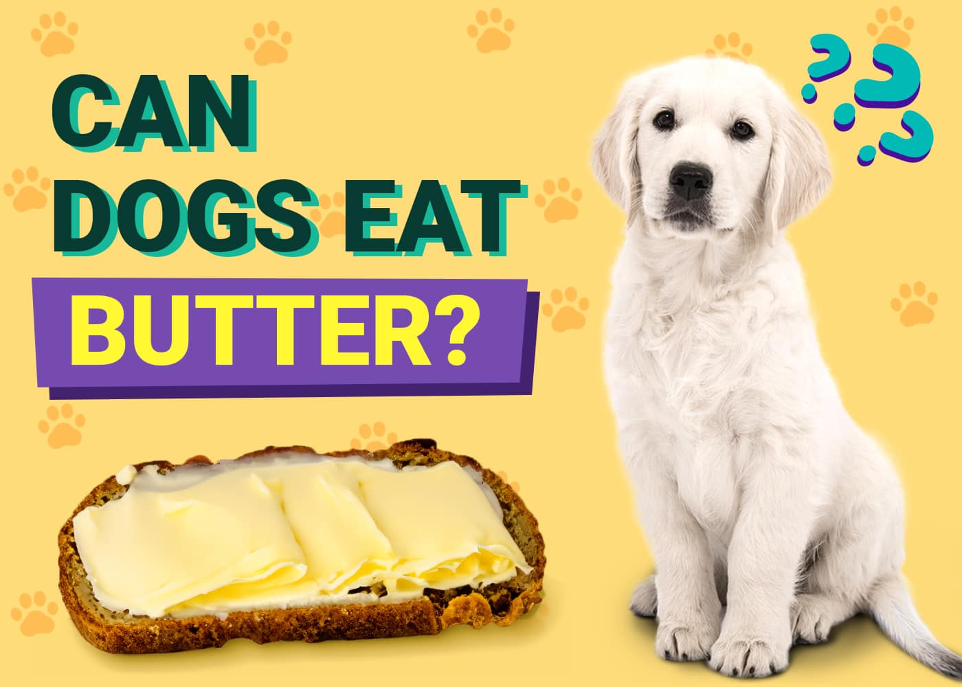 Can Dogs Eat Butter? Vet-Approved Nutrition Advice