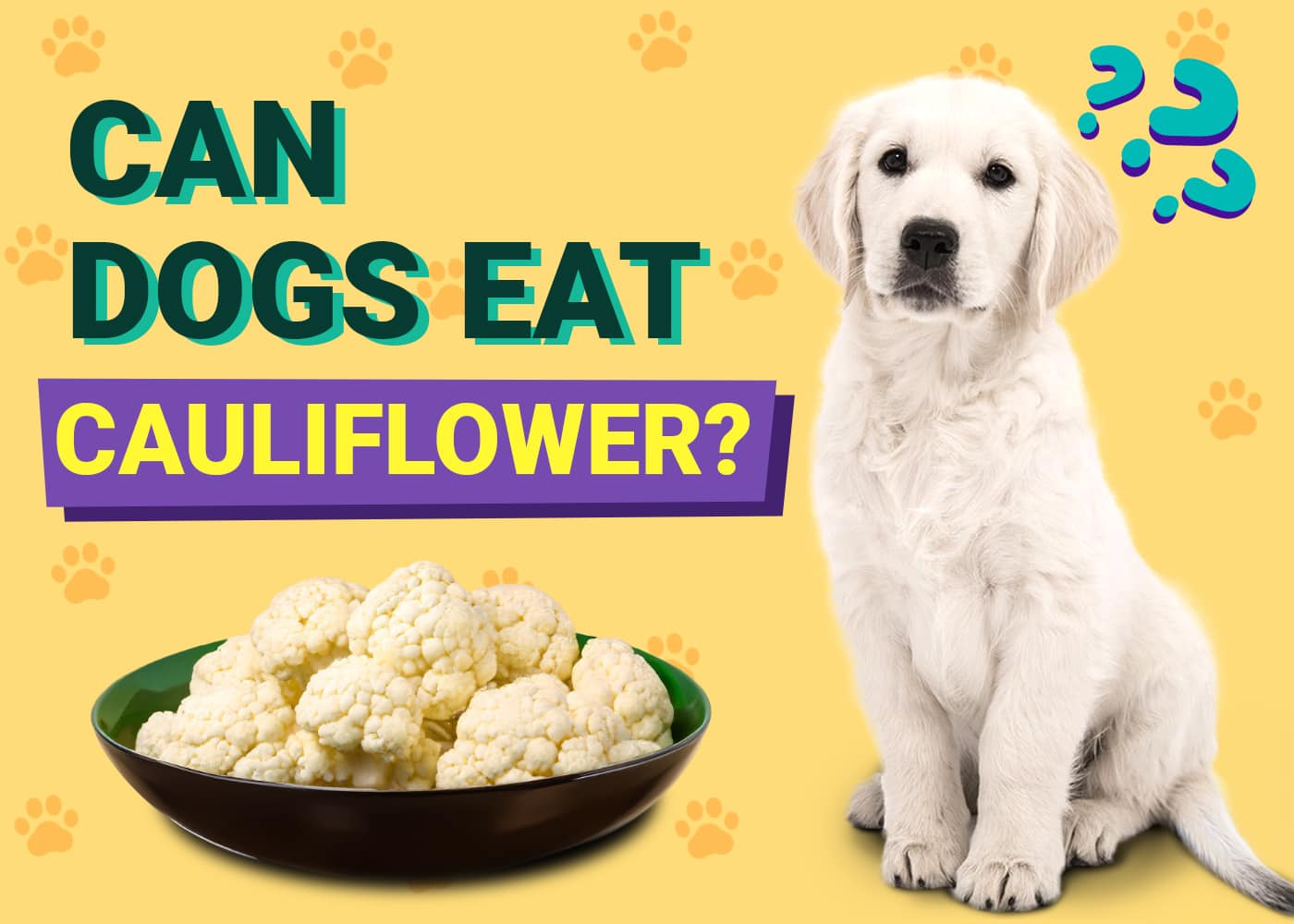Can Dogs Eat Cauliflower? Vet-Verified Nutrition Facts & FAQ