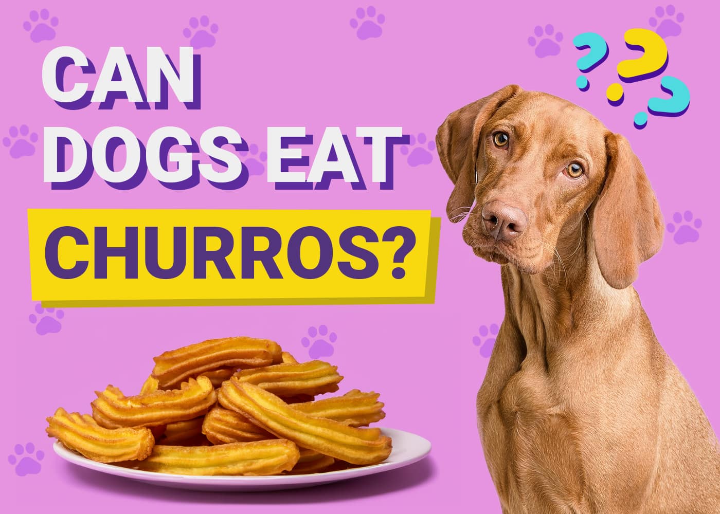 Can Dogs Eat Churros? Vet-Reviewed Facts & FAQ