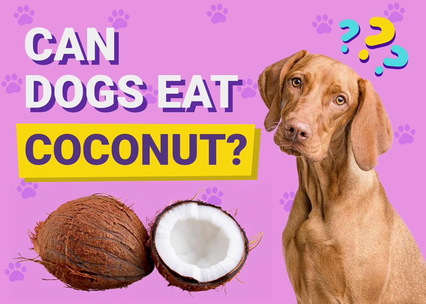 Can Dogs Eat Coconut? Vet-Verified Nutrition Facts & FAQ
