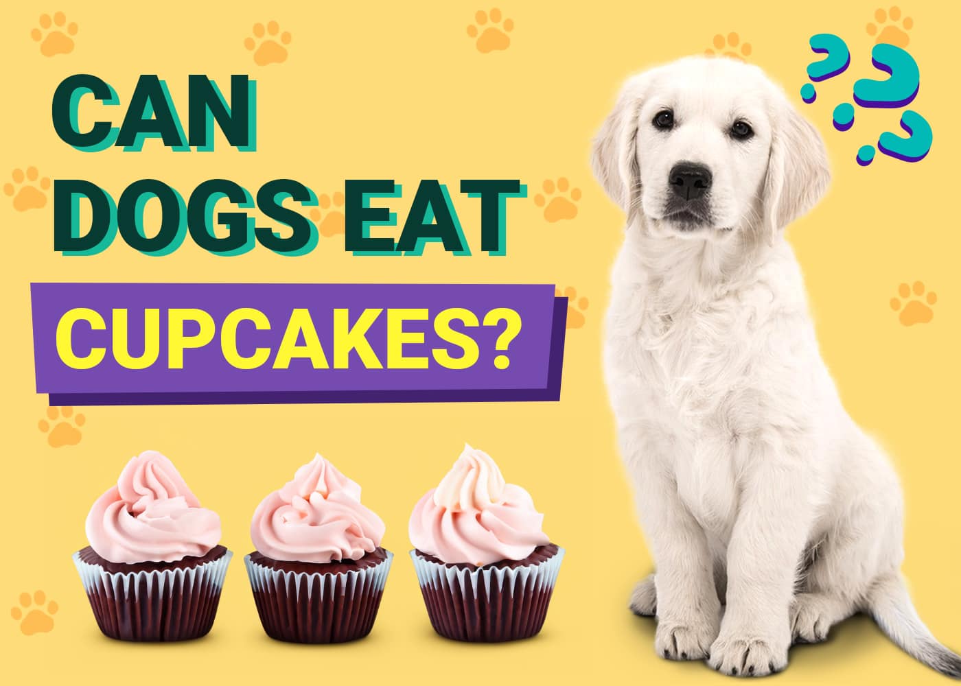Can Dogs Eat Cupcakes? Vet-Approved Facts & FAQ