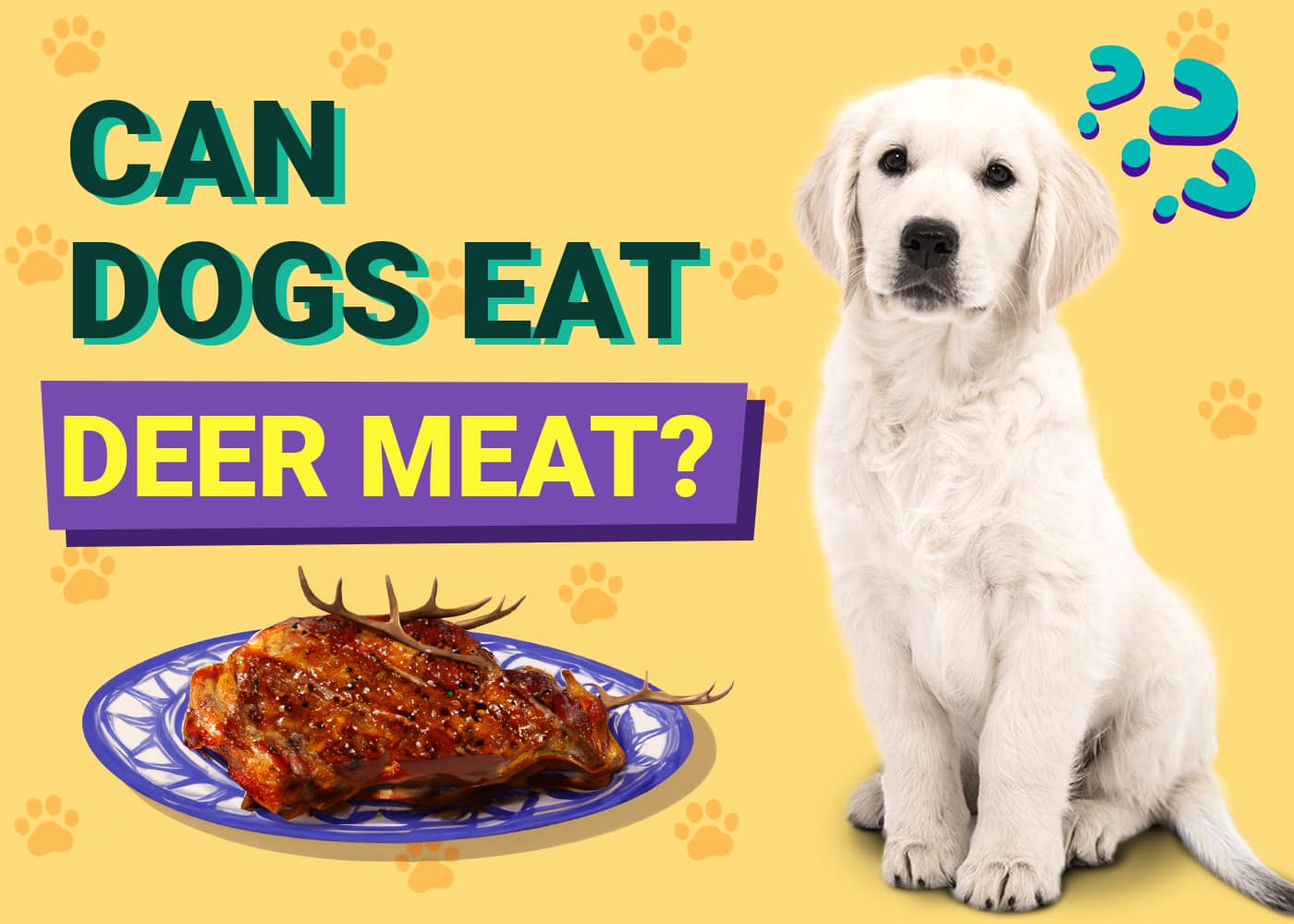 Can Dogs Eat Deer Meat? Vet-Verified Nutrition Facts & Risks