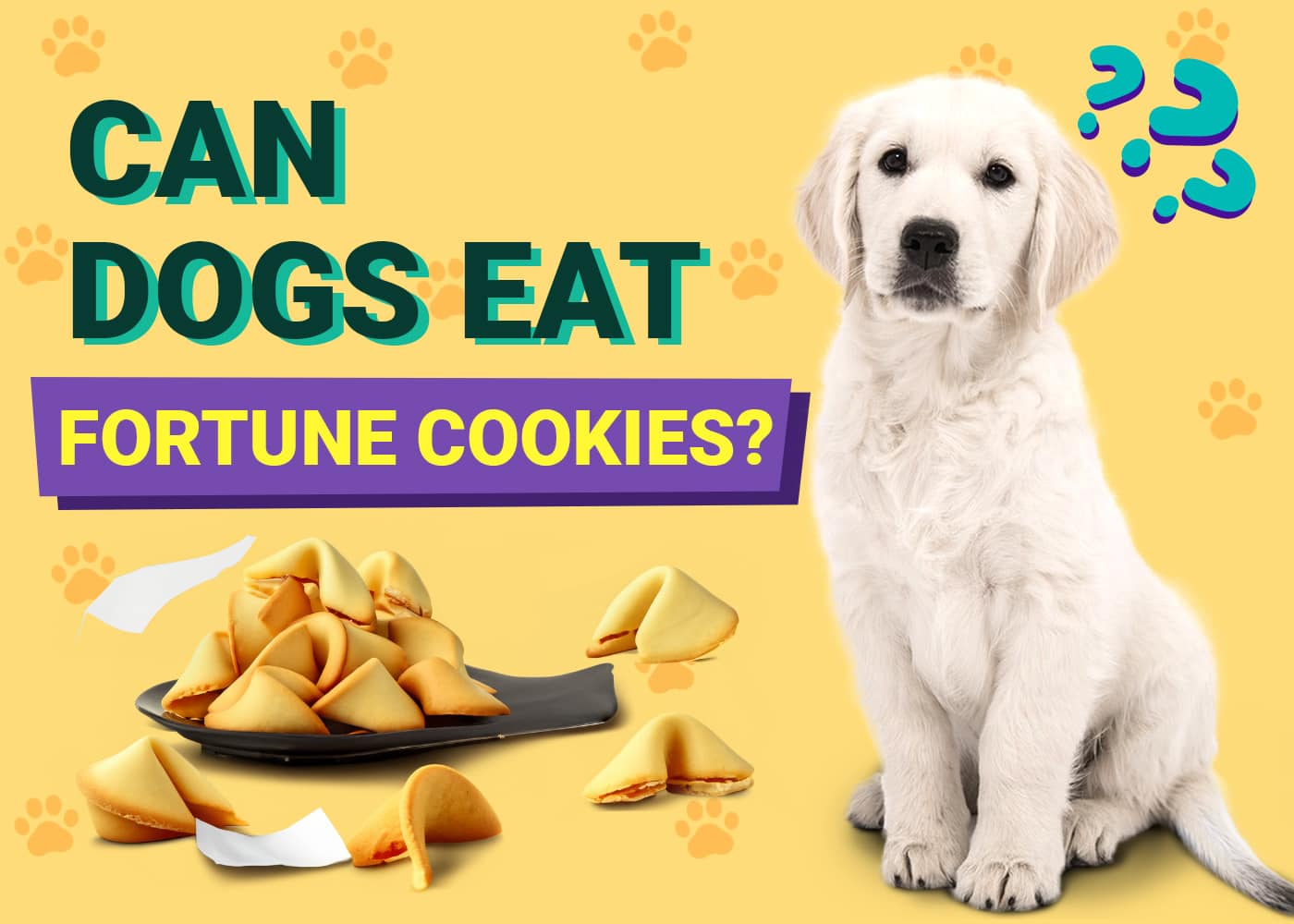 Can Dogs Eat Fortune Cookies? Vet-Verified Nutrition Facts & FAQ