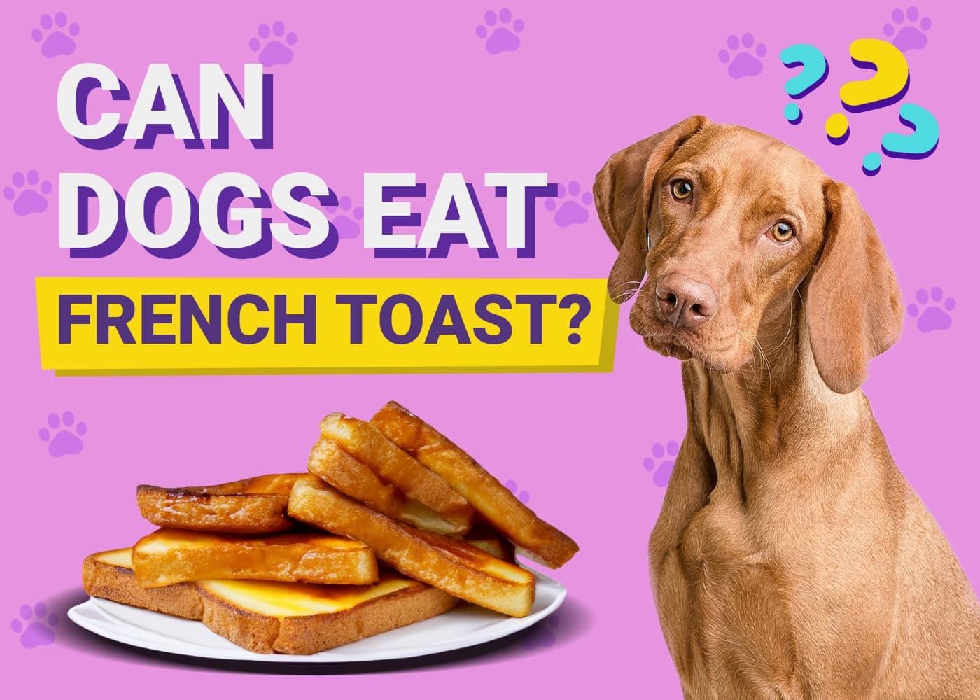 Can Dogs Eat French Toast? Vet-Approved Facts & FAQ