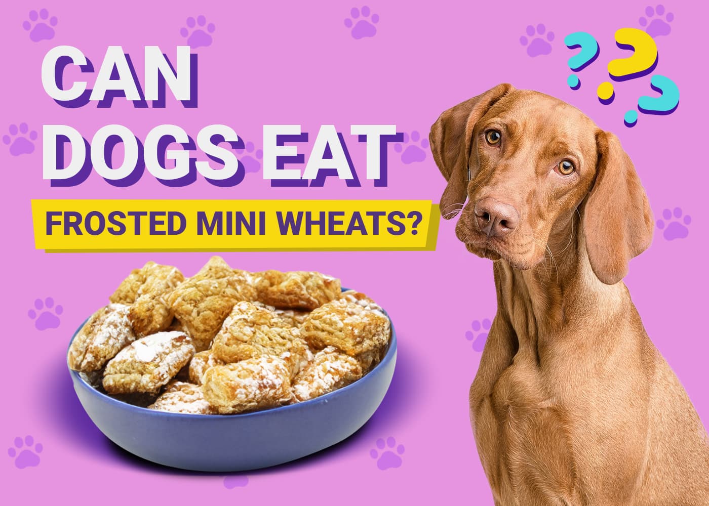 Can Dogs Eat Frosted Mini Wheats? Vet-Reviewed Risks & FAQ